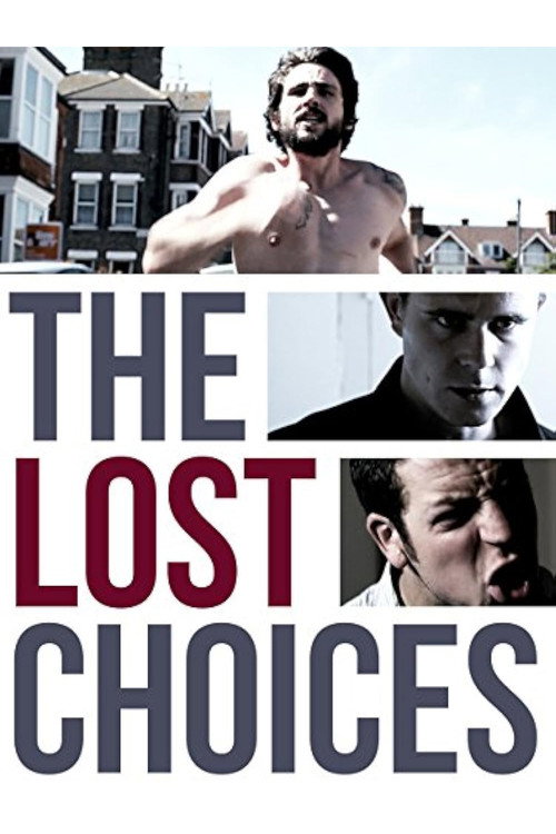 Movie poster for The Lost Choices (2013)