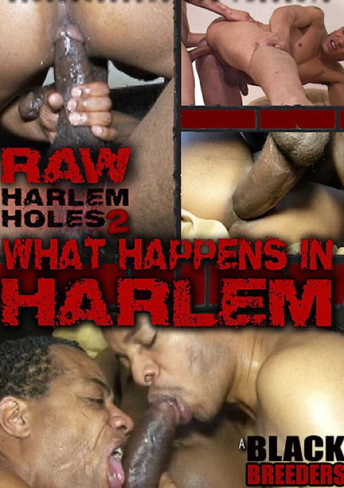Movie poster for Raw Harlem Holes 2: What Happens in Harlem (2017)