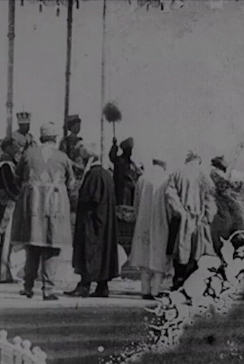 Movie poster for Delhi Durbar (1911)