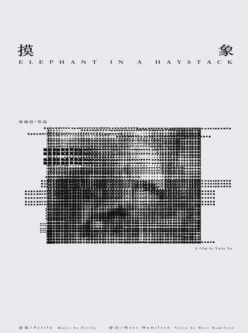 Movie poster for Elephant in a Haystack (2022)