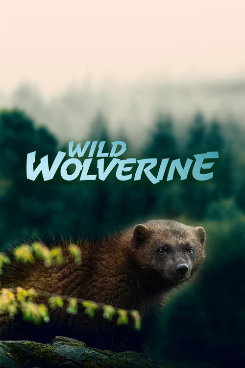 Movie poster for Wild Wolverine (2020)