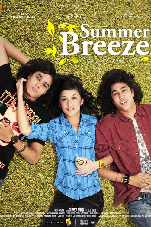 Movie poster for Summer Breeze (2008)
