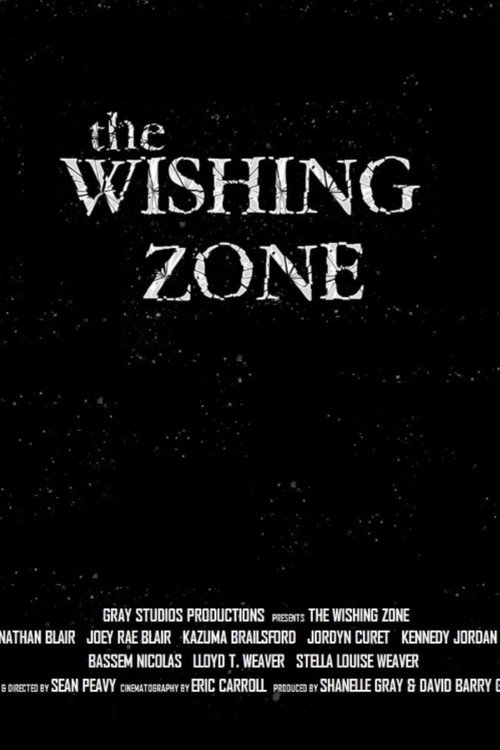 Movie poster for The Wishing Zone (2016)