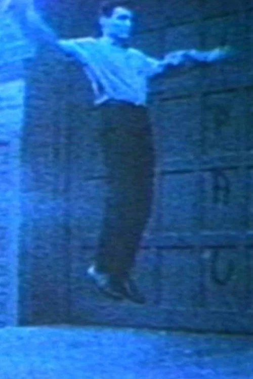 Movie poster for Vincent Gallo as Flying Christ (1981)