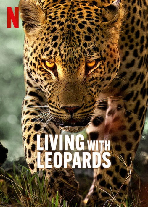 Movie poster for Living with Leopards (2024)