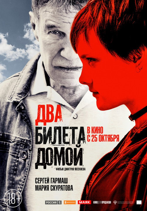 Movie poster for Two Tickets Home (2018)