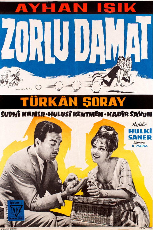 Movie poster for The Tough Groom (1962)