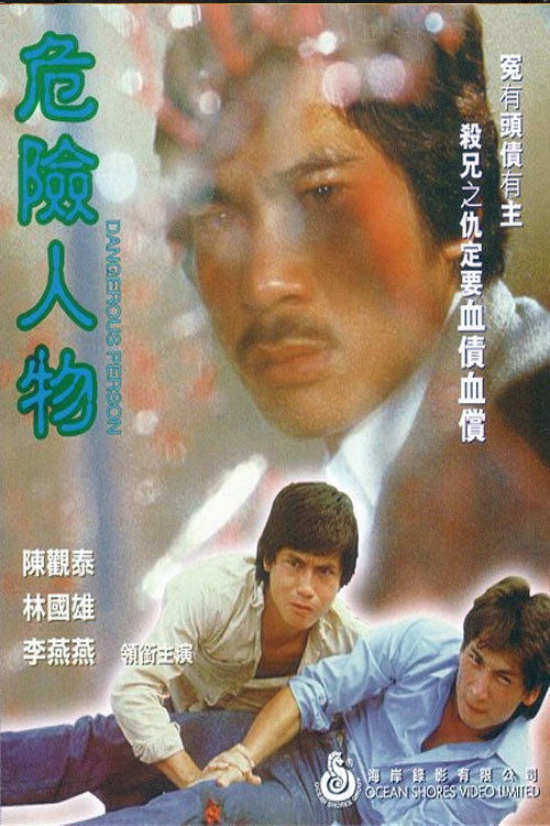 Movie poster for Dangerous Person (1981)