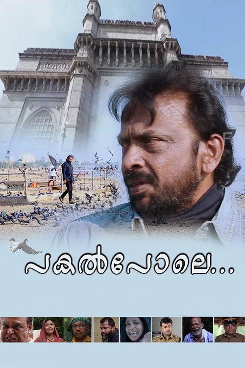 Movie poster for Pakal Pole (2017)