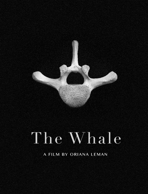 Movie poster for The Whale (2020)