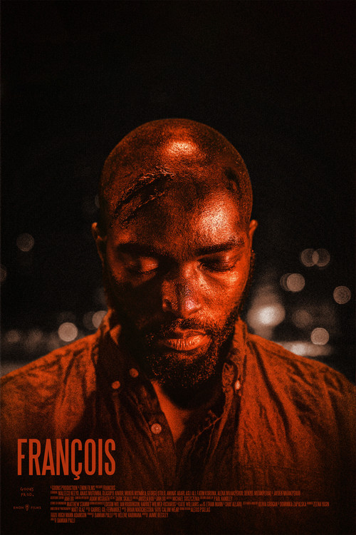 Movie poster for Francois