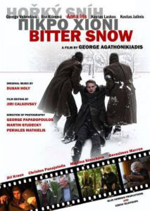 Movie poster for Bitter Snow (2010)