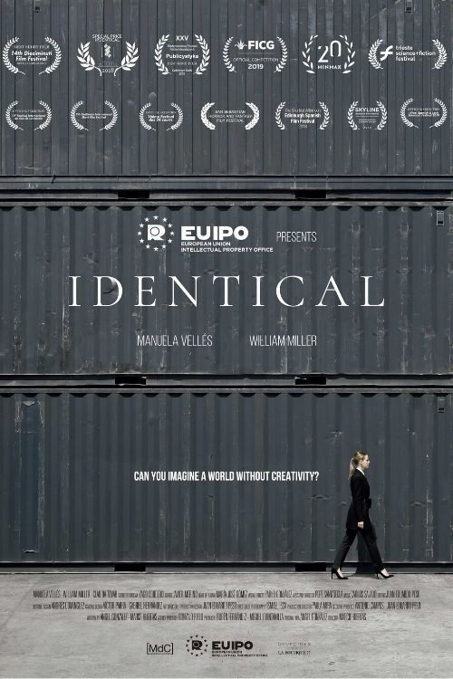 Movie poster for IPDENTICAL: Imagine a world without creativity (2018)
