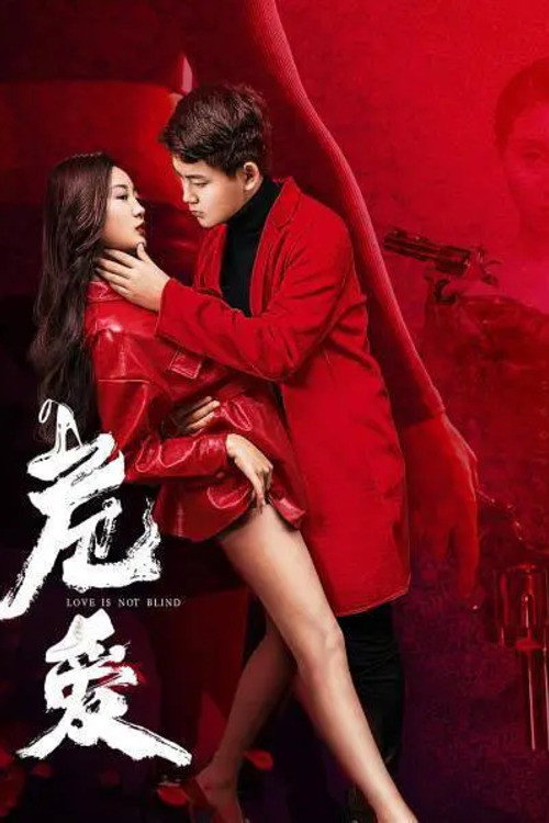 Movie poster for Love Is Not Blind (2020)