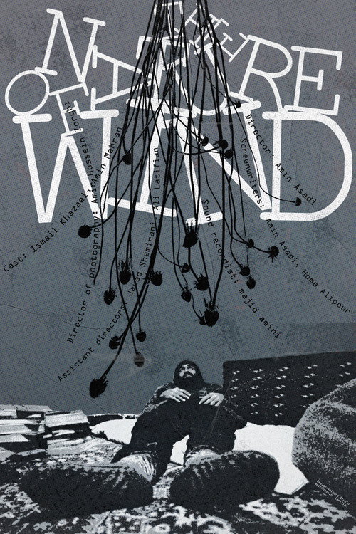 Movie poster for The Nature of Wind (2024)