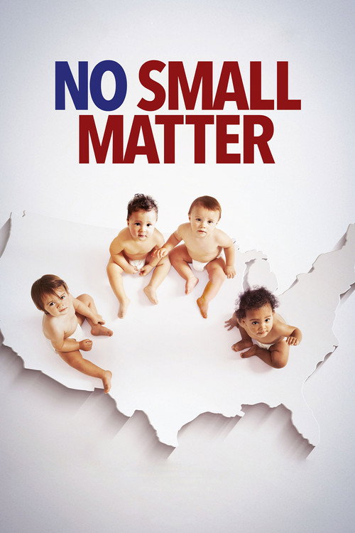 Movie poster for No Small Matter (2019)
