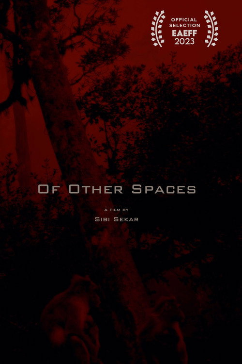 Movie poster for Of Other Spaces (2021)