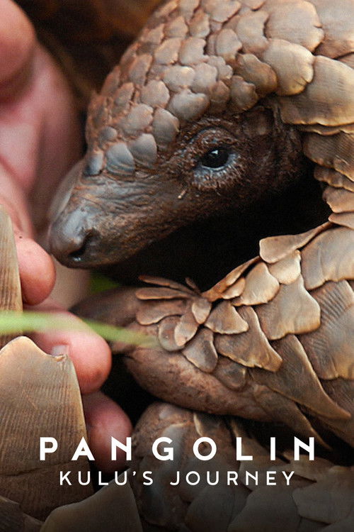 Movie poster for Pangolin: Kulu's Journey (2025)