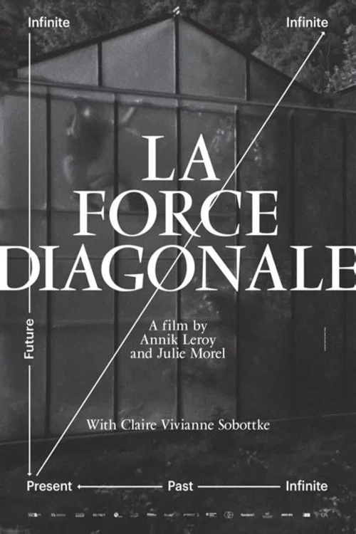 Movie poster for The Diagonal Force (2023)