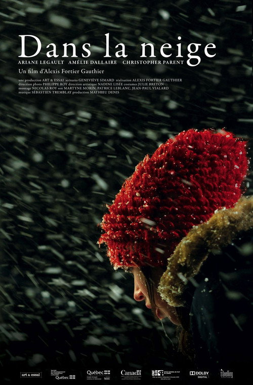 Movie poster for Snowbound (2011)
