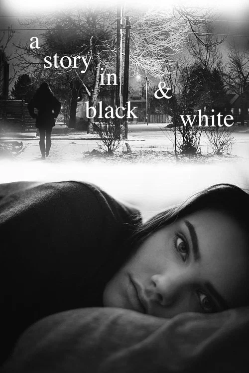 Movie poster for A Story in Black & White (2016)