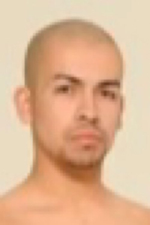 Photo of David Morino, Acting