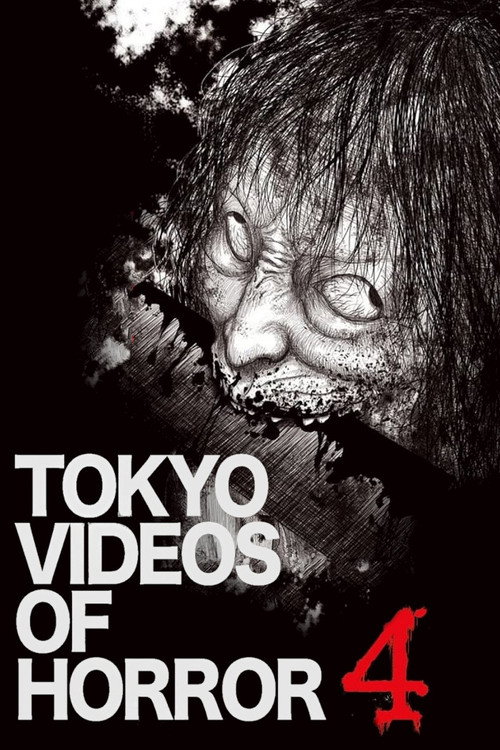 Movie poster for Tokyo Videos of Horror 4 (2012)