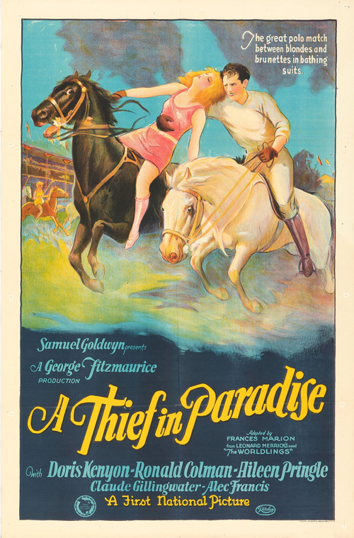 Movie poster for A Thief in Paradise (1925)