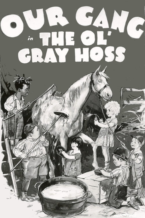 Movie poster for The Ol' Gray Hoss (1928)