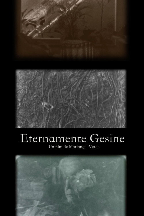 Movie poster for Eternamente Gesine