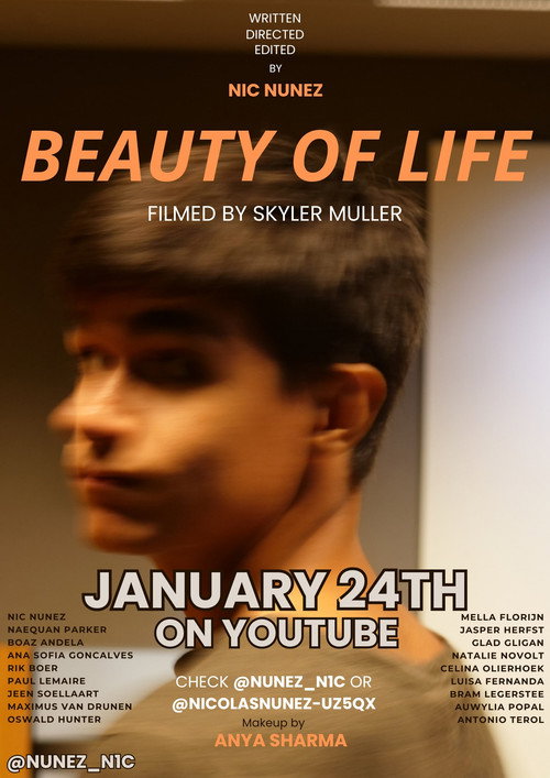 Movie poster for Beauty of Life (2025)