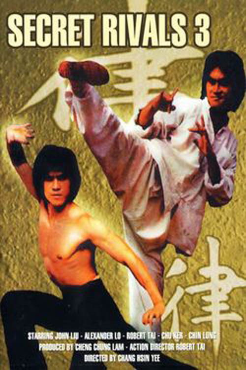 Movie poster for The Secret Rivals 3 (1981)