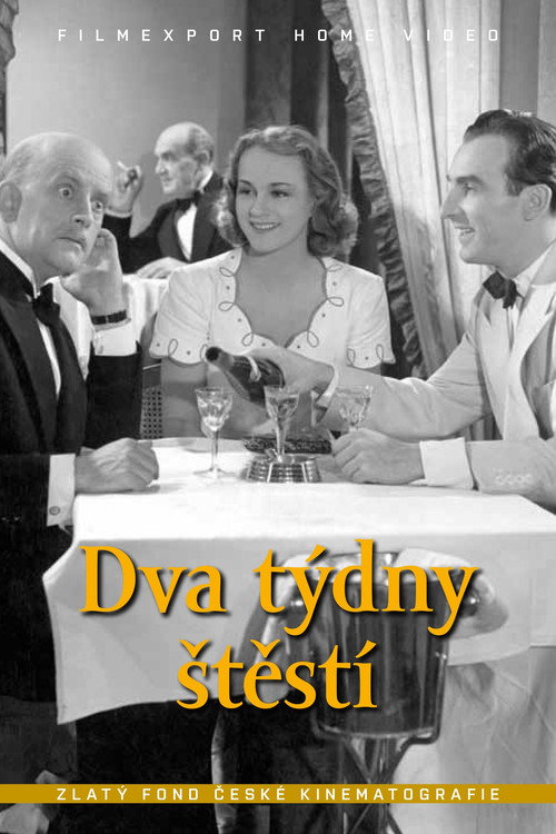 Movie poster for Dva týdny štěstí (1940)