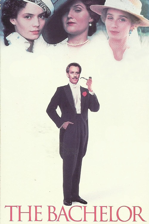 Movie poster for The Bachelor (1990)