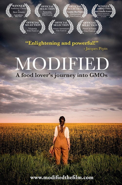 Movie poster for Modified (2017)