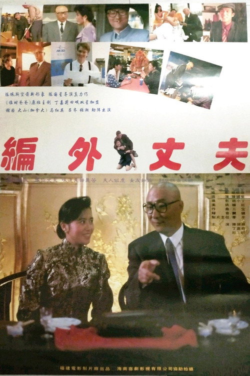 Movie poster for 编外丈夫 (1993)