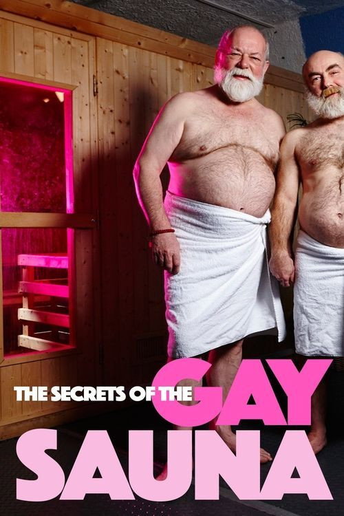 Movie poster for Secrets of the Gay Sauna (2016)