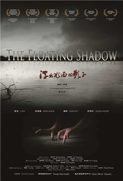 Movie poster for The Floating Shadow (2012)