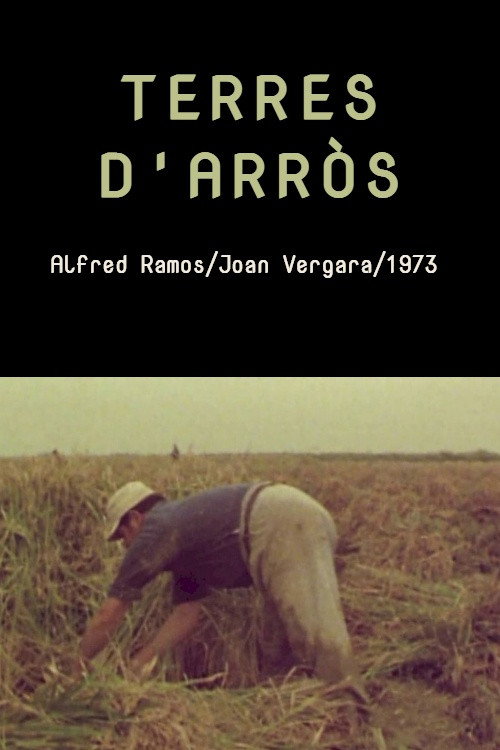Movie poster for Terres d'arròs (1973)