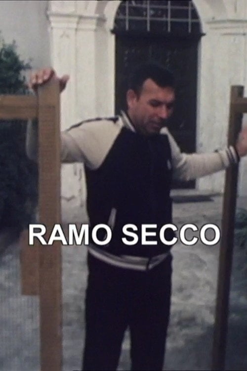 Movie poster for Zibaldino 86 Ramo secco (1986)