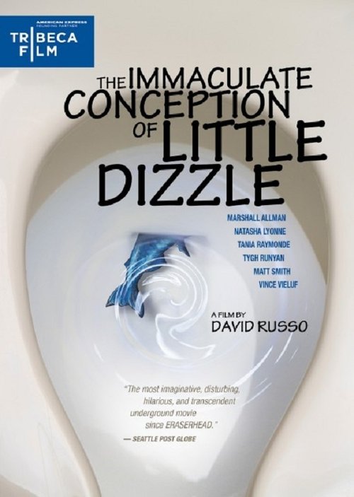 Movie poster for The Immaculate Conception of Little Dizzle (2010)