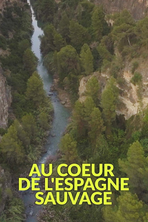 Movie poster for The Wild Heart of Spain (2019)