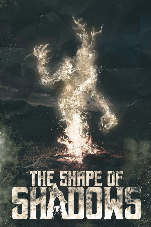 Movie poster for The Shape of Shadows (2023)