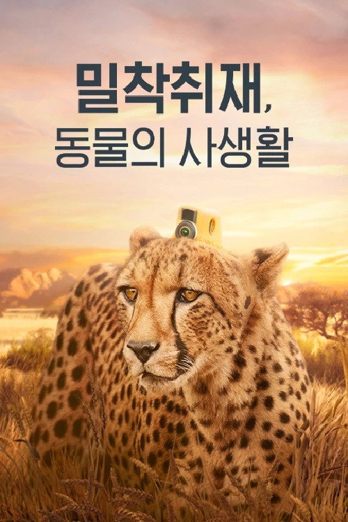 밀착취재, 동물의 사생활 poster