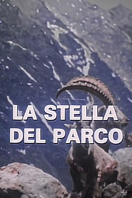 La Stella Del Parco poster