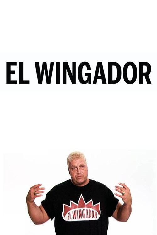 Movie poster for El Wingador (2012)