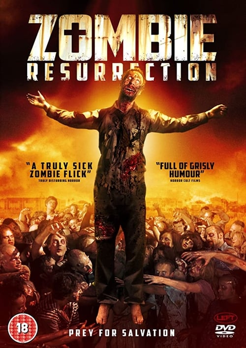 Movie poster for Zombie Resurrection (2014)