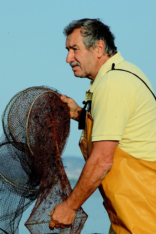 Photo of Franco Lupo, Acting