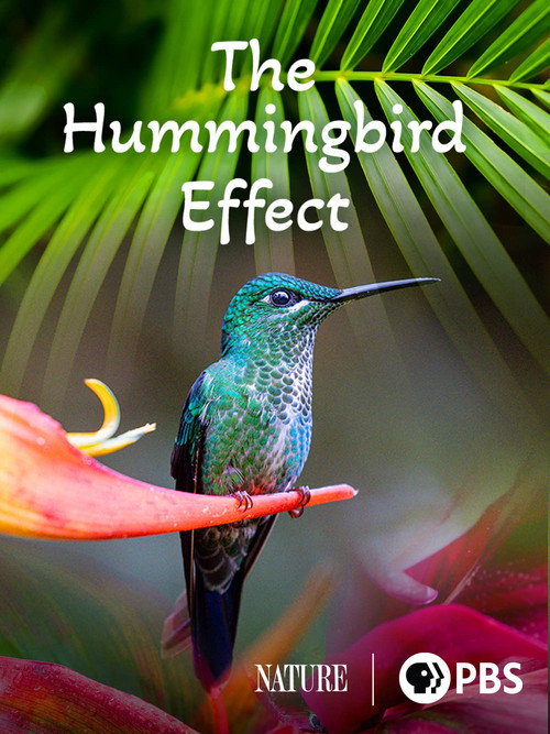 Movie poster for The Hummingbird Effect (2023)