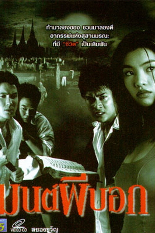 Movie poster for Haunted Graveyard (2004)